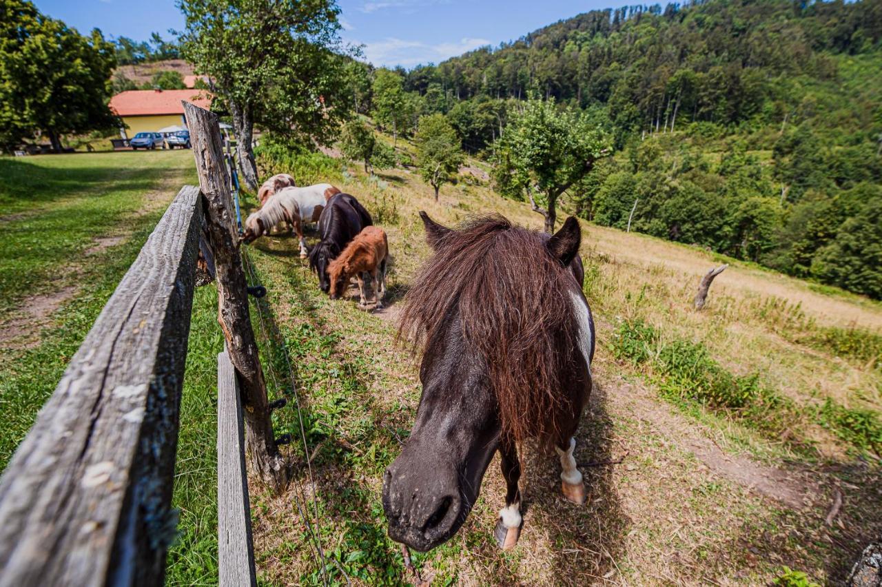 Eko Pony Ranch Ogrizek Apartment Podčetrtek Екстериор снимка