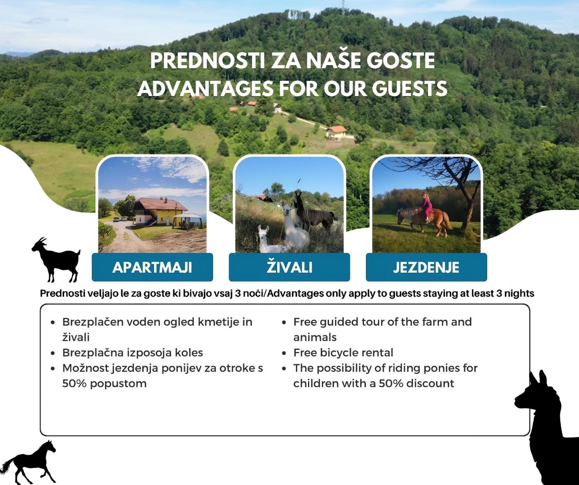 Eko Pony Ranch Ogrizek Apartment Podčetrtek Екстериор снимка